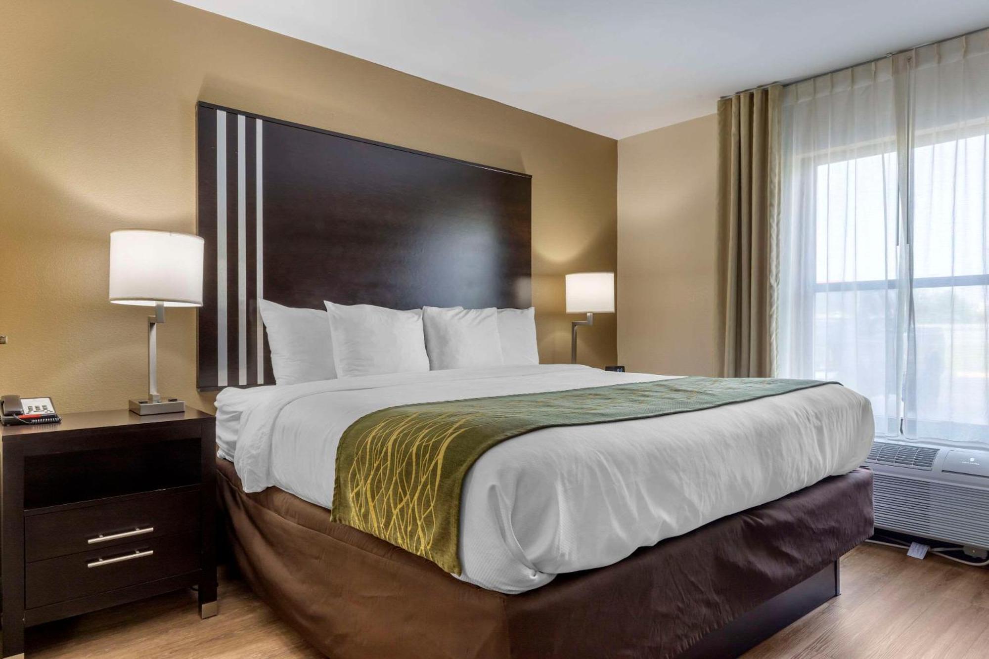 Comfort Inn Near Downtown & Blue Ridge Pkwy Marion Bagian luar foto