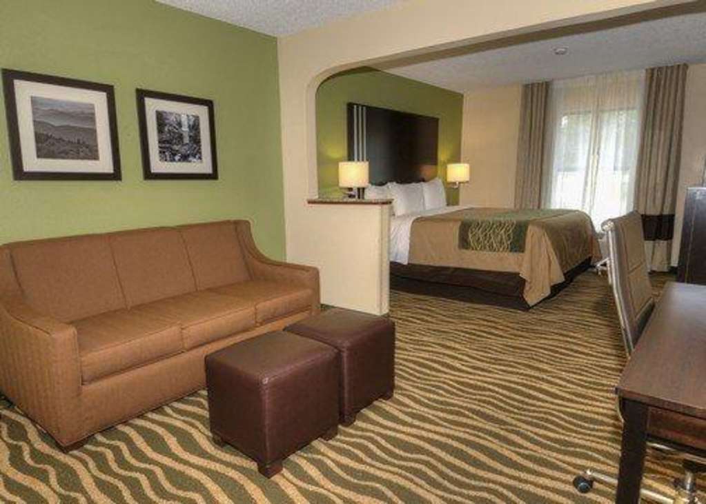 Comfort Inn Near Downtown & Blue Ridge Pkwy Marion Ruang foto